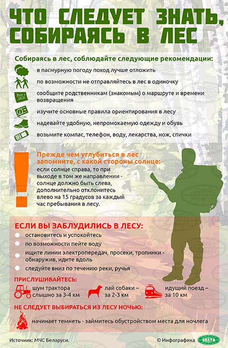 Что нужно знать идя в лес